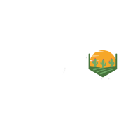 Cactus Contracting, LLC Logo