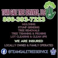 Team Gale Tree Service Logo