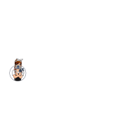 Rolez Painting Logo