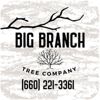 Big Woods Tree Care Inc. Logo