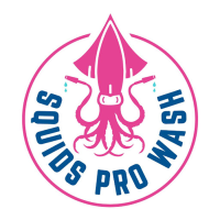 Squids Pro Wash Logo