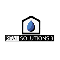 Real Solutions 3 Logo