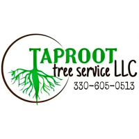 Taproot Tree Service Logo