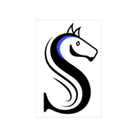 Sage's Sudzee Dudz Logo