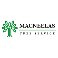 MacNeelas Tree Service Logo