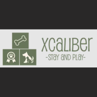 Xcaliber Stay & Play Logo