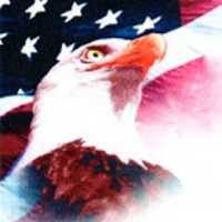 American Eagle Overhead Door Logo