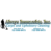 Always Immaculate Services Logo
