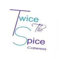 Twice The Spice Caterers Logo