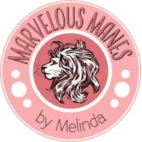 Marvelous Manes By Appointment Only Logo