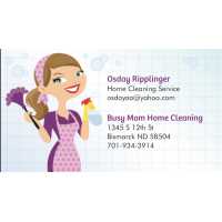 Busy Mom Home Cleaning Logo