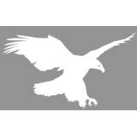 Freedom In Choices LLC Logo