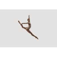 Danceartists Ballet Academy Logo