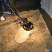 Davids Restore Carpet Cleaning Logo