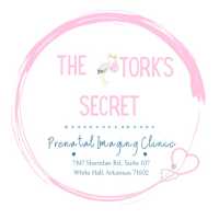 The Stork's Secret Prenatal Imaging Clinic White Hall Logo