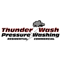 Thunder Wash Pressure Washing/Soap and Chemical Logo