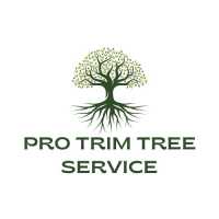 Pro Trim Tree Service Logo