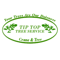 TIP TOP TREE Service Logo