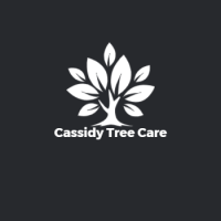 Cassidy Tree Care Logo