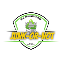 Junk Or Not Logo