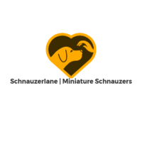 Schnauzerlane | Miniature Schnauzers Logo