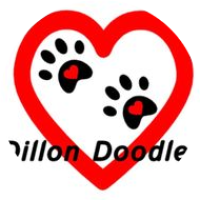 Dillon Doodles Logo