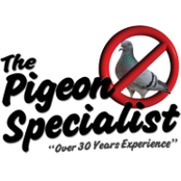 Pigeon Specialist Logo