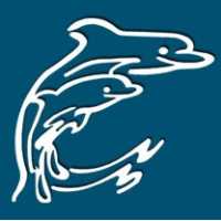 Dolphin Title of Brandon Inc Logo