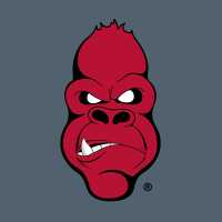 Angry Ape Creative Logo