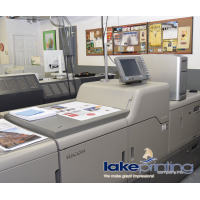 Lake Printing Co Logo