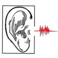 Audiology Hearing Aid Associates Lynchburg Logo