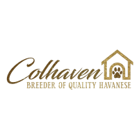 Colhaven Havanese Logo