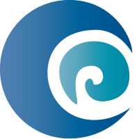Blue Wave Psychiatry - Dr. Felix Widlacki D.O. Logo