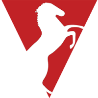 Mustang Wireline Services, LLC Logo