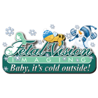Fetal Vision Imaging Logo