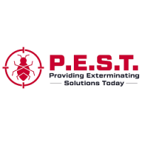 The PEST Group Logo