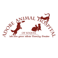 Adobe Animal Hospital of Soquel Logo