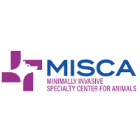 MISCA-Minimally Invasive Specialty Center for Animals Logo