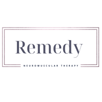 Remedy FNMT Logo