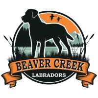 Beaver Creek Labradors Logo