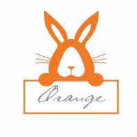 Orange Depot Square Logo