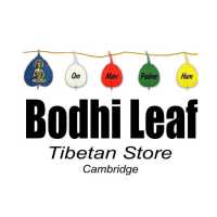 Bodhi Leaf Logo