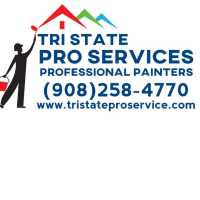 Tri State Pro Services Logo