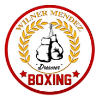 Wilner Mendez Boxing LLC Logo