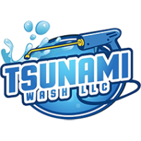 Tsunami Wash Logo