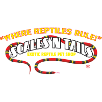 Scales 'N Tails Englewood Logo