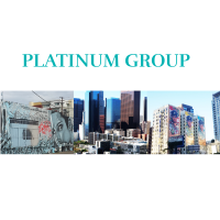 Platinum Group Management Inc Logo