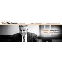 The Law Offices of Tad Nelson & Associates Logo