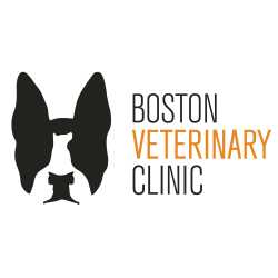 Boston Veterinary Clinic | Bay Village