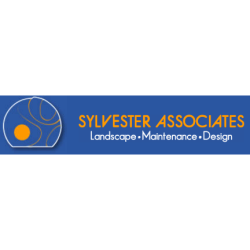 Sylvester Associates
